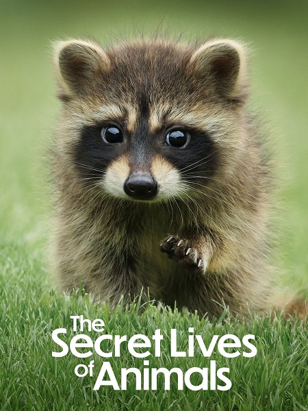 مسلسل The Secret Lives of Animals الحلقة 1 مترجمة